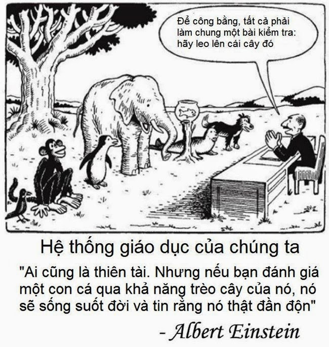 Hiện trạng giáo dục Việt Nam … cười ra nước mắt =)) :'(